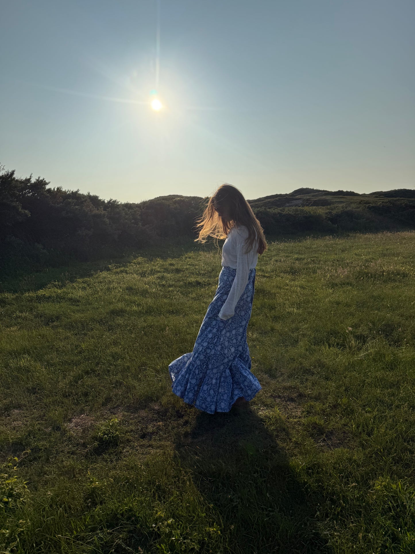 Willa Rok Blauw